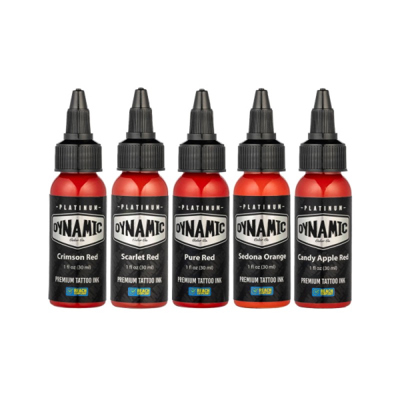 Platinum by Dynamic Tattoo Ink Envy Set 5x 30 ml